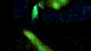 Long fat cock in her mouth