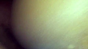 Xvidos features shaved pussy videos