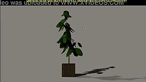 Lets play kelly indoor fun ending with lingerie, small tits, shaved pussy blowjob.