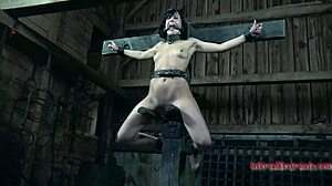 intense sadomasochism free clips with rough fucking and blowjob