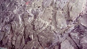 Was I to naive? Perverse man uses me.