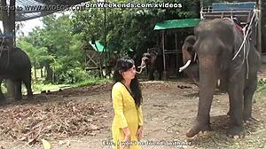 blowjob as a punishment, sex with clothes ripped during holiday