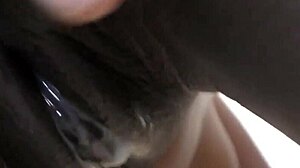 Ação interracial amadora em POV no clipe caseiro