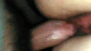 Talia gets pussy sucked and fucked in POV