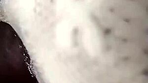 Seriously Wet Pussy of Curly Black Curvy Sexy Neighbor Housewife Gets Creampie