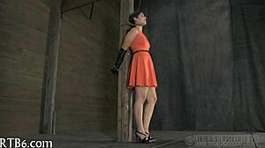 Upside down babe gives blow job