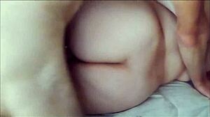 ten bbw american women in suggestive poses.