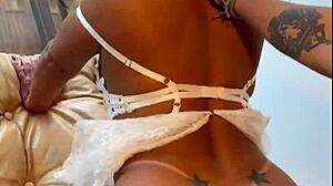 Homemade porn by wifebucket - my young wife in sexy lingerie rides me like a real cowgirl.