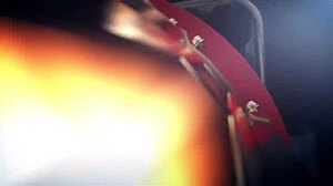 Bastidores - Rodrigo Weeh Gatinhos E Safados