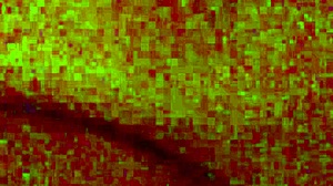 come on, fuck my tight pussy with that huge cock