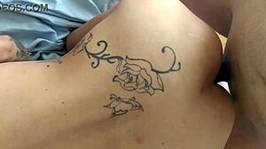 Amateur girls get fucked hard in doggystyle positions!