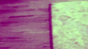 Brattysis Aria Valencia To Allie Addison Tastes Like Dick Cumshot Group Pussy Deepthroat Masturbation Cunilingus POV Orgasm