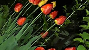 invited neighbor for flowers, then fucked her mouth to orgasm