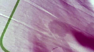 Ese Video Que Nunca Superar�s Nueva Delicia Teniendo Chorros Supremos - Adoro Sus Gemidos