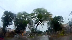 A cute student joins researcher and driver for sexual investigation