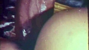 Vintage british pussy takes black cock in taboo interracial