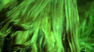 honour may rides at the stable 😍