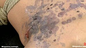 Bound lesbians get hot waxed and whipped in anal domination