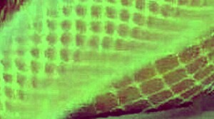 sexy hot white angel masturbates to orgasm