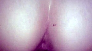 in this amateur gay scene, the latina soaks the whole dick while moaning loudly, showing how good she fucks with her wet pussy