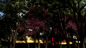 Musik luv magick the wizards lover episode 4 the heart of magick