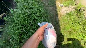 Excited to propose blowjob to neighbor while washing clothes.