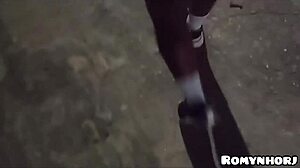 i walked rio streets met stranger fucked her bareback came inside