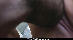 August Ames Sucks Cock Sloppily