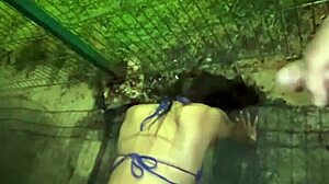 after party, felt excited and asked friends to stop car for street fun, ignoring passersby