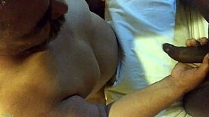 sucking black shemale's monster cock with intense blowjob in lesbian scene