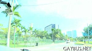 free vids of homosexual sex online