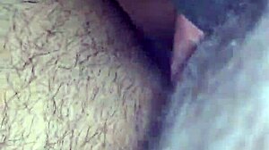 Trucker Takes Me Hard