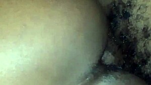 Check Out This Extremely Wet Cream Pie Action.