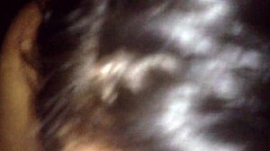 Latina Sucking Dick Hard!