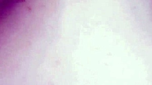 Big Cock In Ass Close-Up