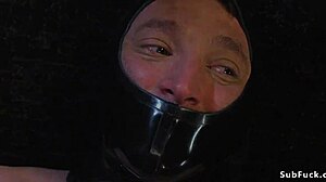 Busty domme in lingerie whips the tied up man