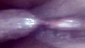 ebony bbw squirts passionately in close-up, feeling intense pleasure
