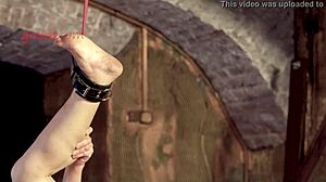 the shy blonde milf explores extreme feet fetish with brutal pain