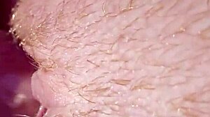 Intense Pussy Fuck With Ass Play