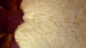 Intense Pussy Fuck With Ass Play