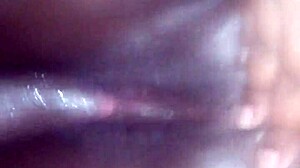 ebony bbw squirts passionately in close-up, feeling intense pleasure