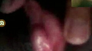 Exploring egyptian and japanese cultures in a sexy voyeur style