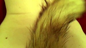 Fox tail couple sex