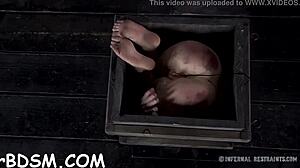 the extreme t excites the hottie with hardcore toys and bdsm play