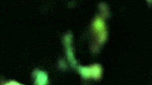 Homemade Couple Fucks With Big Cock