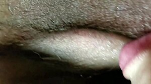 Look what she does when my friends come home