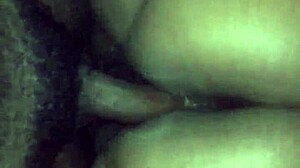 Big Booty Mami Doggy 😈