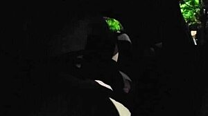 Homemade Couple Fucks With Big Cock