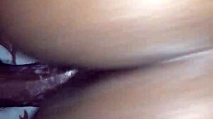 Big Booty Mami Doggy 😈