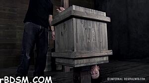 the extreme t excites the hottie with hardcore toys and bdsm play